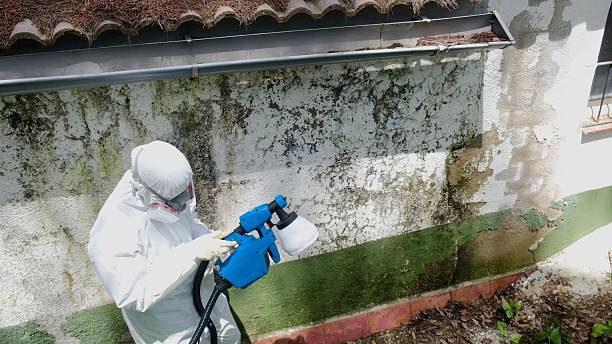 Top rated local Attic Mold Removal specialists in Newville, PA